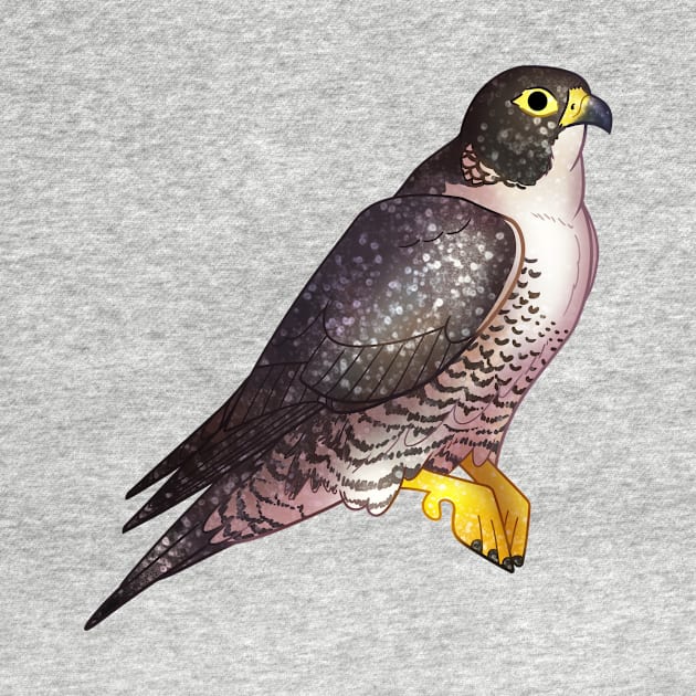 Cozy Falcon by Phoenix Baldwin